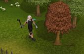 RS Woodcutting gids