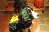 "SWEET CORN" Dog kostuum