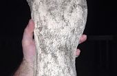 Bigfoot voetafdruk cast