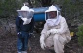 Alles-in-één kid's Bee jas & Veil