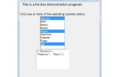 Python programmeren GUI - lijst vak Demo