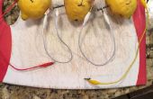 Hoe maak je een citroen-accu