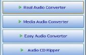 How to Convert WAV, MP3, MP2, MP1, MPEG, MP4, AAC, OGG, AVI, MPC, MOV naar WAV, MP3, MP2, ACM, AC3, MP4 met AKRAM Audio Converter? 