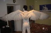 Hoe maak je een paar van Angel Wings