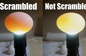 Hoe Scramble eieren binnen hun Shell - nieuwe versie