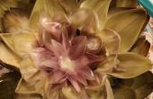DIY maken van een lotusbloem met behulp van artisjok laat