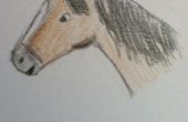 Hoe teken je een paard gezicht