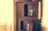De boekenkast op 2 manieren... Hoe te recyclen gebruikte karton om te maken van aangepaste meubels! 