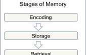 Hoe te doen een psychologie Short-Term Memory Experiment