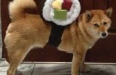 Sushi Roll Dog kostuum
