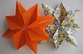 Hoe te vouwen de ster op een Origami Eight-Pointed
