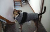 Steve de hond en zijn trui