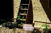 Vertical Strawberry Planter: Reclaimed Ladder
