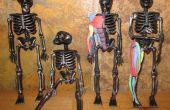 Spier anatomie met een Halloween skelet leren