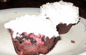 Framboos en Oreo Sorbet Cupcakes