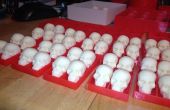 Witte chocolade schedels in PLA Trays