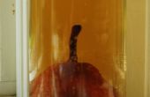Groeien van een peer in een fles