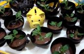 Basil Choco Mousse in chocolade Cups: P