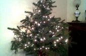 GRATIS kerstboom