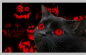 Pixlr Halloween bewerken fotowedstrijd