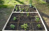 Hoe maak je een eenvoudig vierkant-voet tuin! 