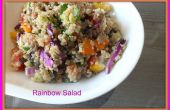 Regenboog Quinoa salade