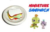 Miniatuur sandwich (pop ambachtelijke)