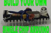 Hoe maak je een enkele Chip Arduino