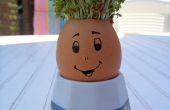 Kids project: Mister Sprout