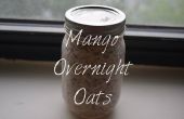Heerlijke Mango Overnight Oats! 