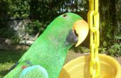 Leuke bloempot Parrot Feeder