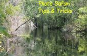 Foto Safari Trucs & Tips