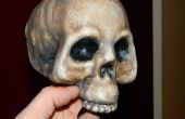 Goedkope dollaropslag kunststof schedels transformeren in hoge kwaliteit, realistisch uitziende Halloween props