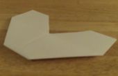 Hoe maak je de Veldleeuwerik papieren vliegtuigje
