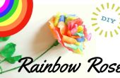 DIY Rainbow Rose