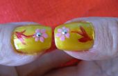 DIY Professional op zoek manicure en nagel kunst