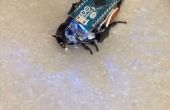 Controle van een kakkerlak met Arduino voor onder $30