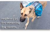 Hond van Wearables (Live Streaming hond Camera)