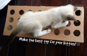 Maken van een stuk speelgoed voor uw kat met behulp van karton