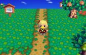 Onverharde paden in - Animal Crossing City Folk (Wii)
