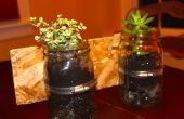 DIY Mason Jar plantenbakken