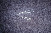 Paperclip wasp