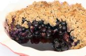 Gemakkelijk Blueberry Crumble | Paleo vriendelijke