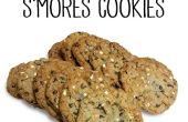 De beste S'MORES Cookies