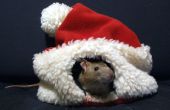Santa Rat hoeden