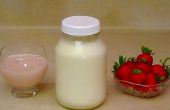 Maken yoghurt door de Gallon zonder een yoghurt Maker