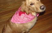 How to make een Valentine sjaal Bandana voor uw hond of Puppy