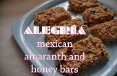 Alegria - gezonde Mexicaanse amarant en honing bars