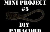Mini Project #5: Paracord Pull tabblad
