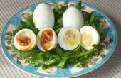 Gevulde eieren (neen dooier)